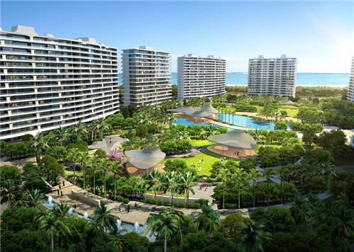 美颜素猪肚鸡汤