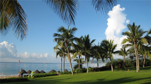 泸州老窖壹号窖代理