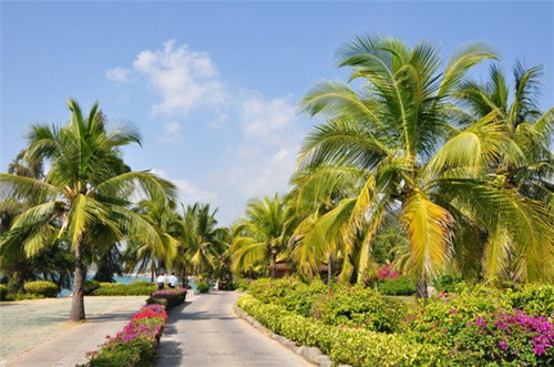 开启嘉吉基铁板鸡扒饭