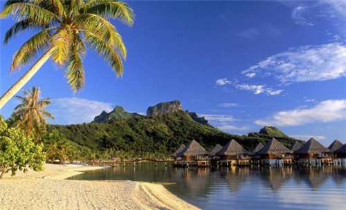 魔火厨炭火干锅