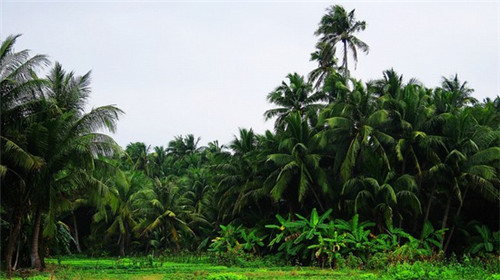 南充餐饮店设计哪家好
