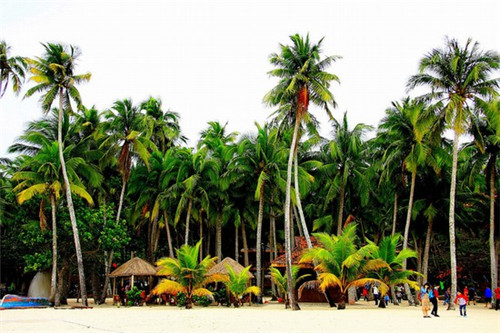 在旬阳县加盟茶星座饮品开店能赚钱吗