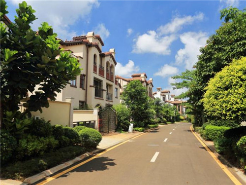 华为xt手机壳排行榜（华为手机壳排名）