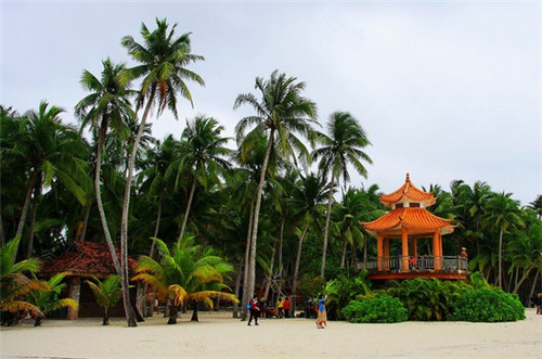 外网吃鸡手游叫什么（外服吃鸡游戏）